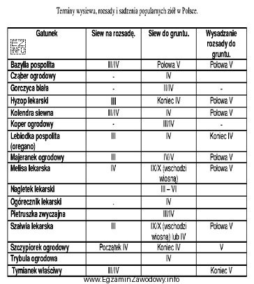 Na podstawie informacji zawartych w tabeli wskaż warzywo przyprawowe, któ
