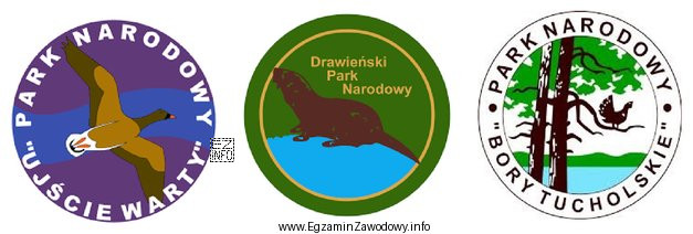 Korzystając z symboliki parków narodowych, pracownik biura podróż