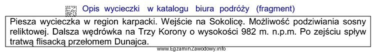 Zamieszczony w katalogu biura podróży opis wycieczki fakultatywnej dotyczy 
