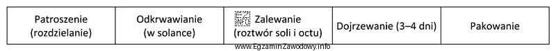 Przedstawiony fragment schematu technologicznego dotyczy produkcji