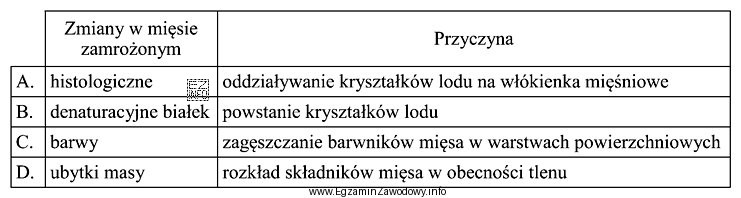 Wskaż błędnie podaną przyczynę zmian zachodzących w mię