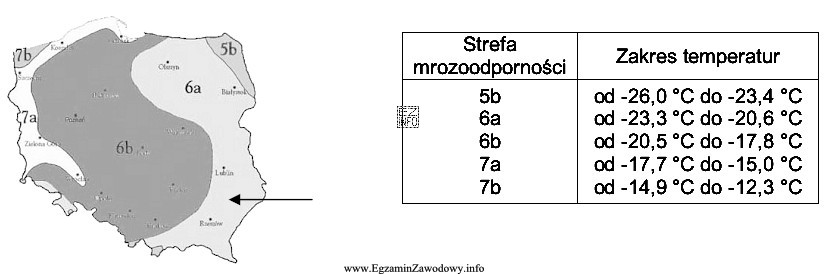 W gospodarstwie, położonym na terenie wskazanym strzałką 