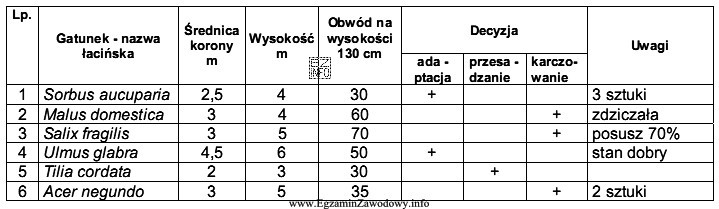 Na podstawie fragmentu wykazu inwentaryzacyjnego zieleni oblicz, ile drzew należ