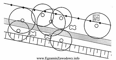 Na przedstawionym wycinku planu szczegółowej inwentaryzacji ogrodu są widoczne: