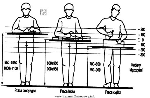 Wysokość pola pracy w pozycji stojącej na stanowisku 
