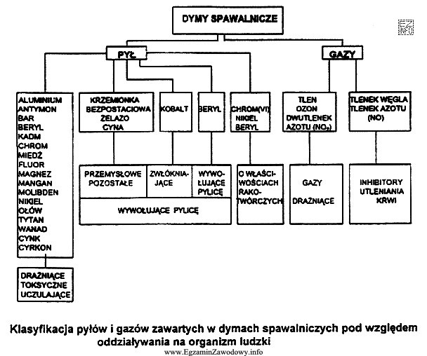 Na podstawie podanej na rysunku klasyfikacji określ, który 