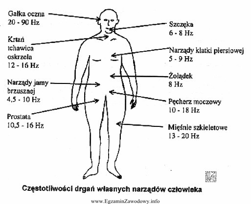 Pracownik obsługujący młot pneumatyczny narażony jest 