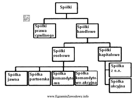 Na podstawie schematu przedstawiającego klasyfikację spółek, wskaż spół
