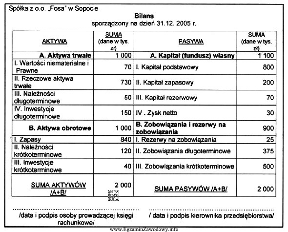 Przedstawiony dokument obrazuje część sprawozdania finansowego spółki 