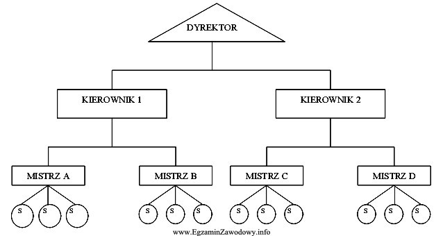 Rysunek przedstawia schemat struktury organizacyjnej przedsiębiorstwa. Jest to struktura 