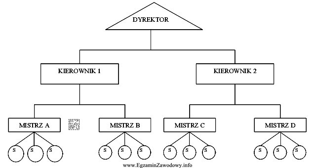 Rysunek przedstawia schemat struktury organizacyjnej przedsiębiorstwa. Jest to struktura 