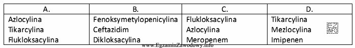 W której kolumnie wszystkie leki należą do grupy penicylin?