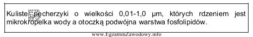 Jaką postać leku charakteryzuje przedstawiony opis?