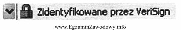 Symbol kłódki oznaczający połączenie szyfrowane jest charakterystyczny 