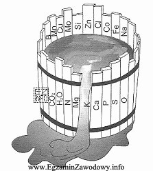 Rysunek przedstawia klasyczną ilustrację prawa Liebiga. W tym przypadku pierwiastkiem 