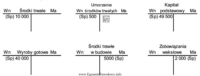 W jednostce gospodarczej na wybrane konta księgowe naniesiono salda 