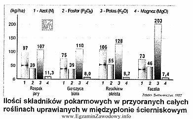 Na podstawie analizy wykresu wskaż roślinę, którą należ