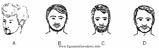 Który z przedstawionych na rysunkach rodzaj zarostu twarzy należ