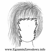 Na rysunku schematycznym przez pogrubienie zaznaczono we fryzurze