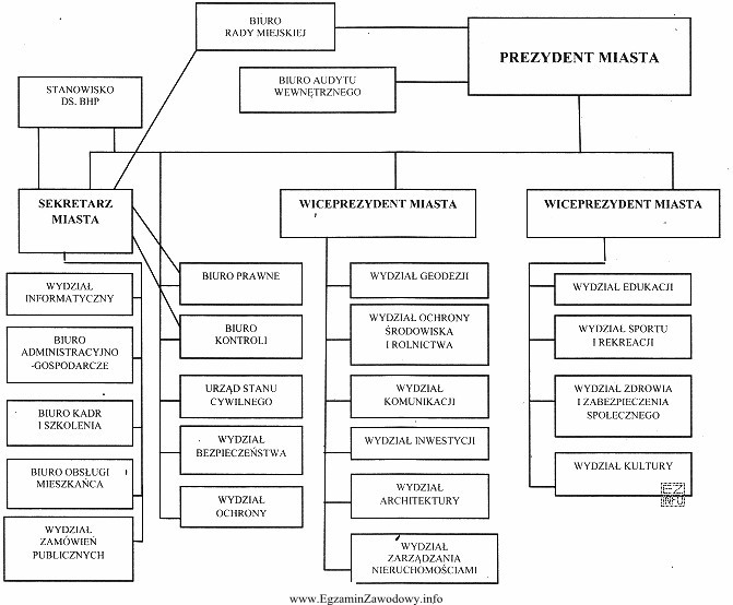 Z zamieszczonego schematu struktury organizacyjnej Urzędu Miasta wynika, iż 