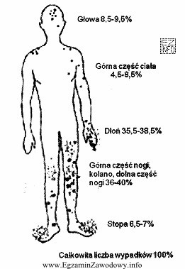 Z rysunku wynika, że najczęstsze umiejscowienie urazów doznanych 