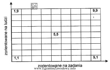 Na rysunku przedstawiono siatkę stylów kierowania wg R.R. 