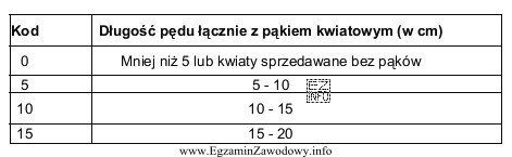 Pęd ma długość 11 cm, a pąk 