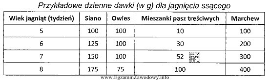 Dzienne zapotrzebowanie na mieszankę pasz treściwych w 8 tygodniu życia 