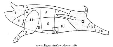 Na schemacie półtuszy wieprzowej elementem kulinarnym oznaczonym nr 11 