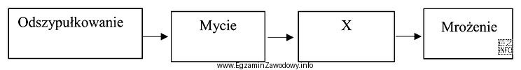 W przedstawionym schemacie produkcji truskawek mrożonych symbolem X jest 