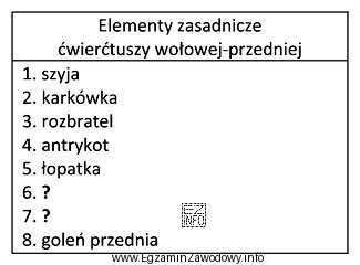 Wskaż brakujące elementy zasadnicze ćwierćtuszy wołowej przedniej 