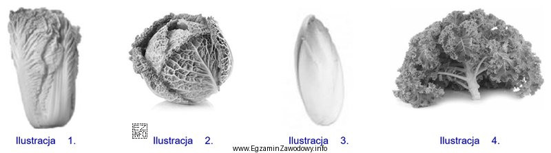 Na której ilustracji przedstawiono warzywo liściowe?
