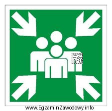 Zamieszczony obok znak informuje o