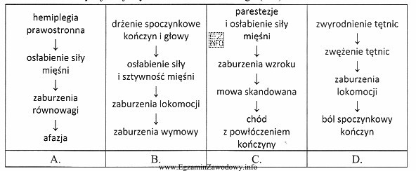 Który schemat charakteryzuje objawy stwardnienia rozsianego (SM)?