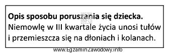 Którego etapu rozwoju motoryki dotyczy opis?