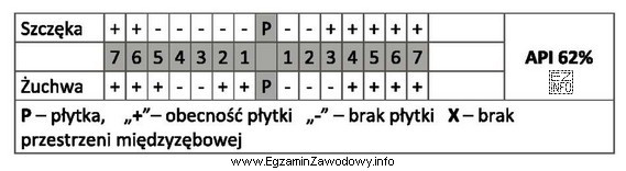 Badając jamę ustną pacjenta za pomocą wskaźnika API, higienistka 