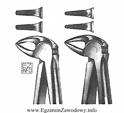 Przedstawione na rysunku kleszcze służą do usuwania dolnych
