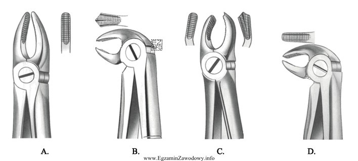 Które kleszcze służą do usuwania zęba 16?