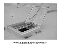 Zdjęcie przedstawia