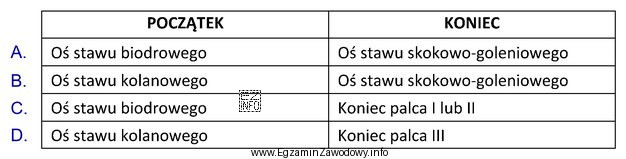 Prawidłowo wskazany początek i koniec podudzia, zgodnie z 14