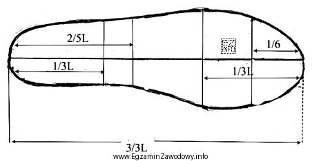 Którą długość stopy należy wybrać, aby wyznaczyć 