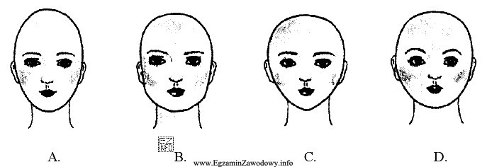 Który kształt głowy jest najbardziej zbliżony 