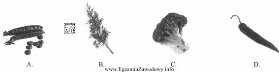 Który z towarów przedstawionych na obrazkach jest zaliczany 